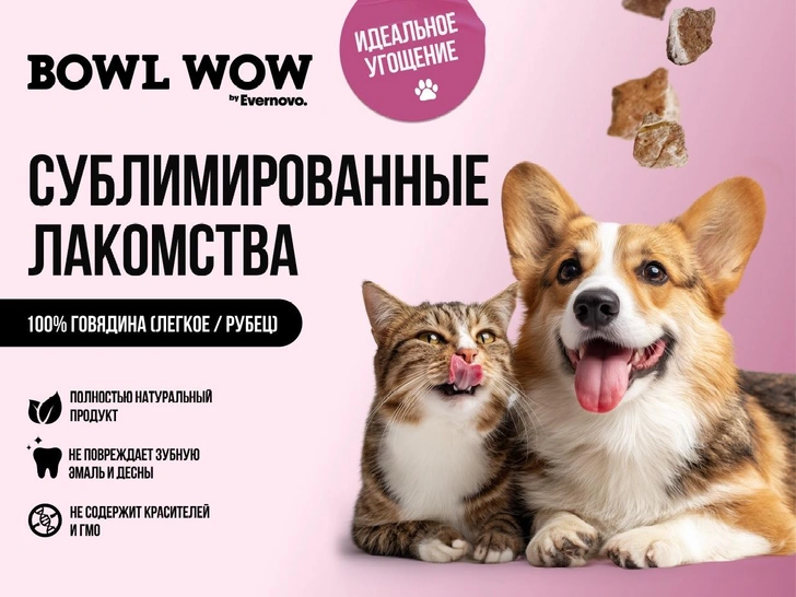 Воздушное белье и сияние: чем бренды удивляют этим летом