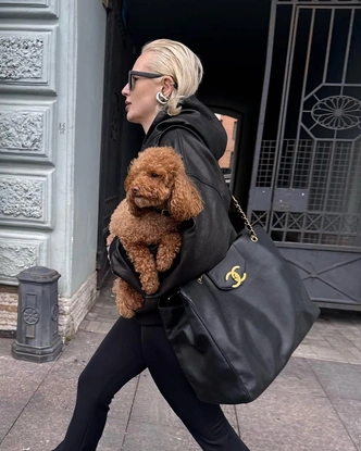 Самая желанная сумка сезона — Chloé Paddington