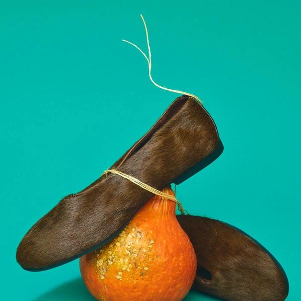 Shoes First 2025: факультативные занятия