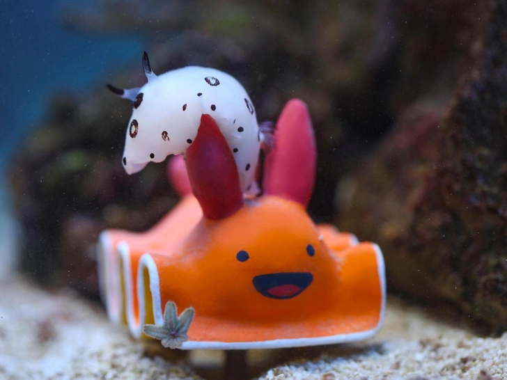 Как столица закрывает год: самые многообещающие новинки декабря