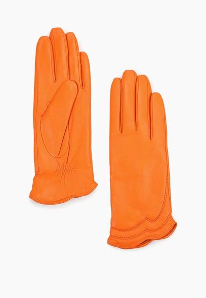 5 модных цветовых сочетаний для трендовых образов в 2026 году