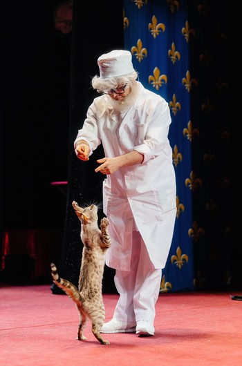 Как детям прививают любовь к животным: в Театре Куклачева прошла «Школа доктора ВИКа»