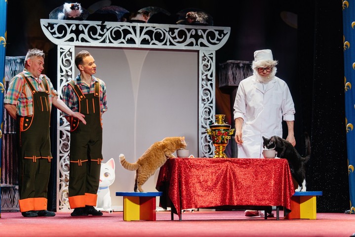 Как детям прививают любовь к животным: в Театре Куклачева прошла «Школа доктора ВИКа»