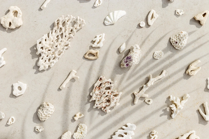 Коралловая вода: мифы и реальность о главном бьюти-тренде для гидратации