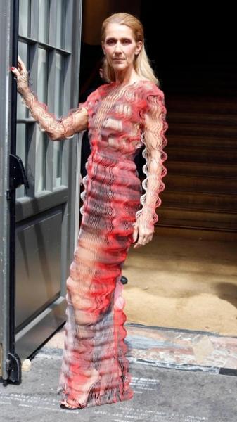 Неповторимая Селин Дион: 15 образов певицы, которая вдохновила всех женщин мира наряжаться