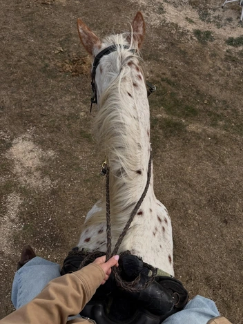 От падела до конного спорта: как хобби заменяют аксессуары в 2026