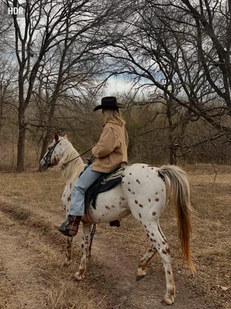 От падела до конного спорта: как хобби заменяют аксессуары в 2026