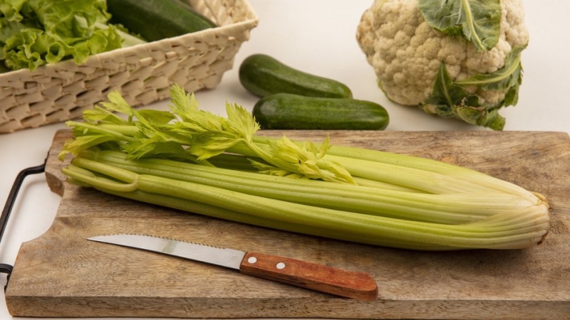 Спасаемся от солнца продуктами: какая еда защищает кожу лучше SPF